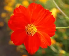 夏尔勒瓦聚焦蒙彼利埃,迎来成功的开端的简单介绍 夏尔勒瓦聚焦蒙彼利埃,迎来成功的开端的简单介绍