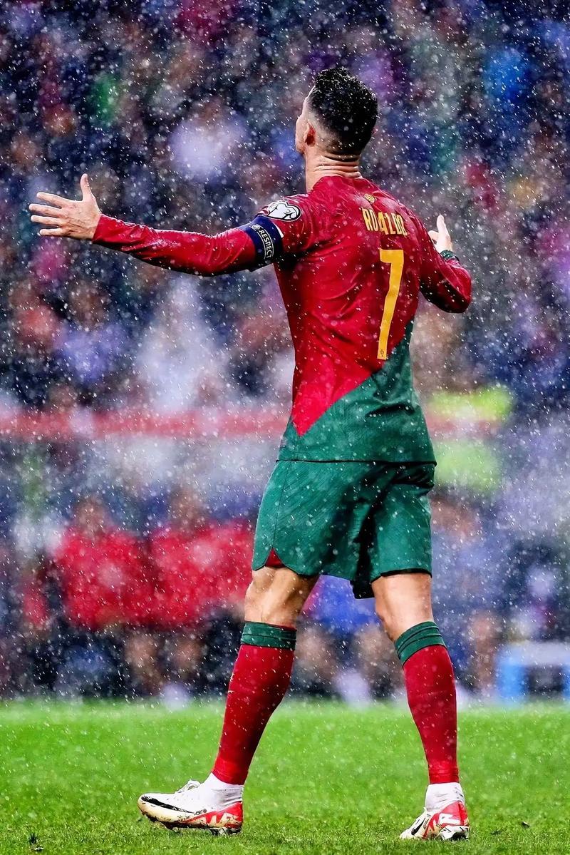 葡萄牙队展现出强大实力 葡萄牙队展现出强大实力