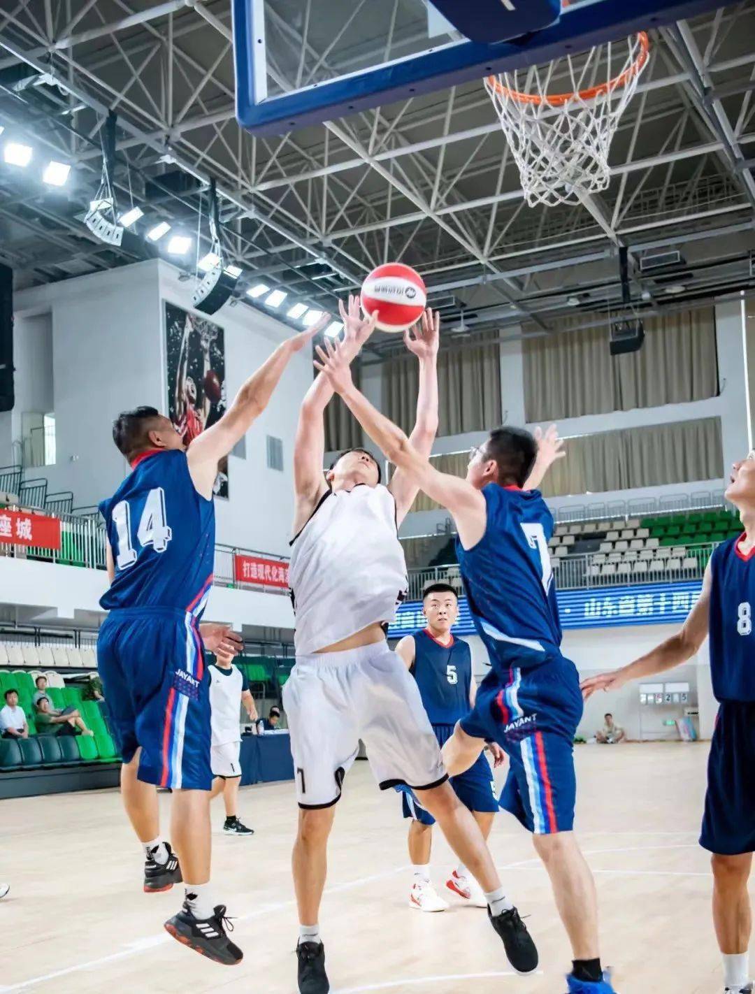 日本篮球队实力强劲,斩获冠军 日本篮球队实力强劲,斩获冠军